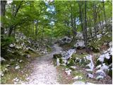 Planina Polog - Source of Tolminka
